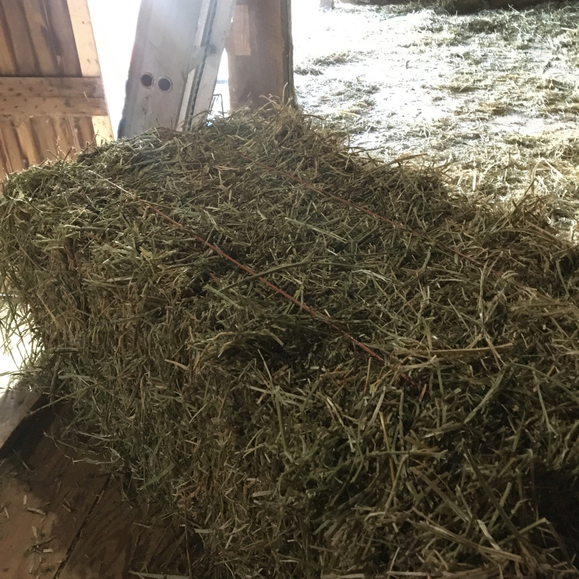 Hay, Round Bale, 1st cut